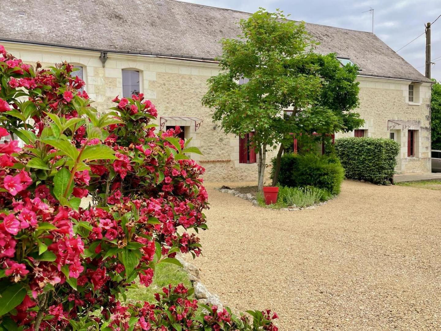 Au Domaine Du Bois Joubert Bed & Breakfast Luzillé Exterior photo