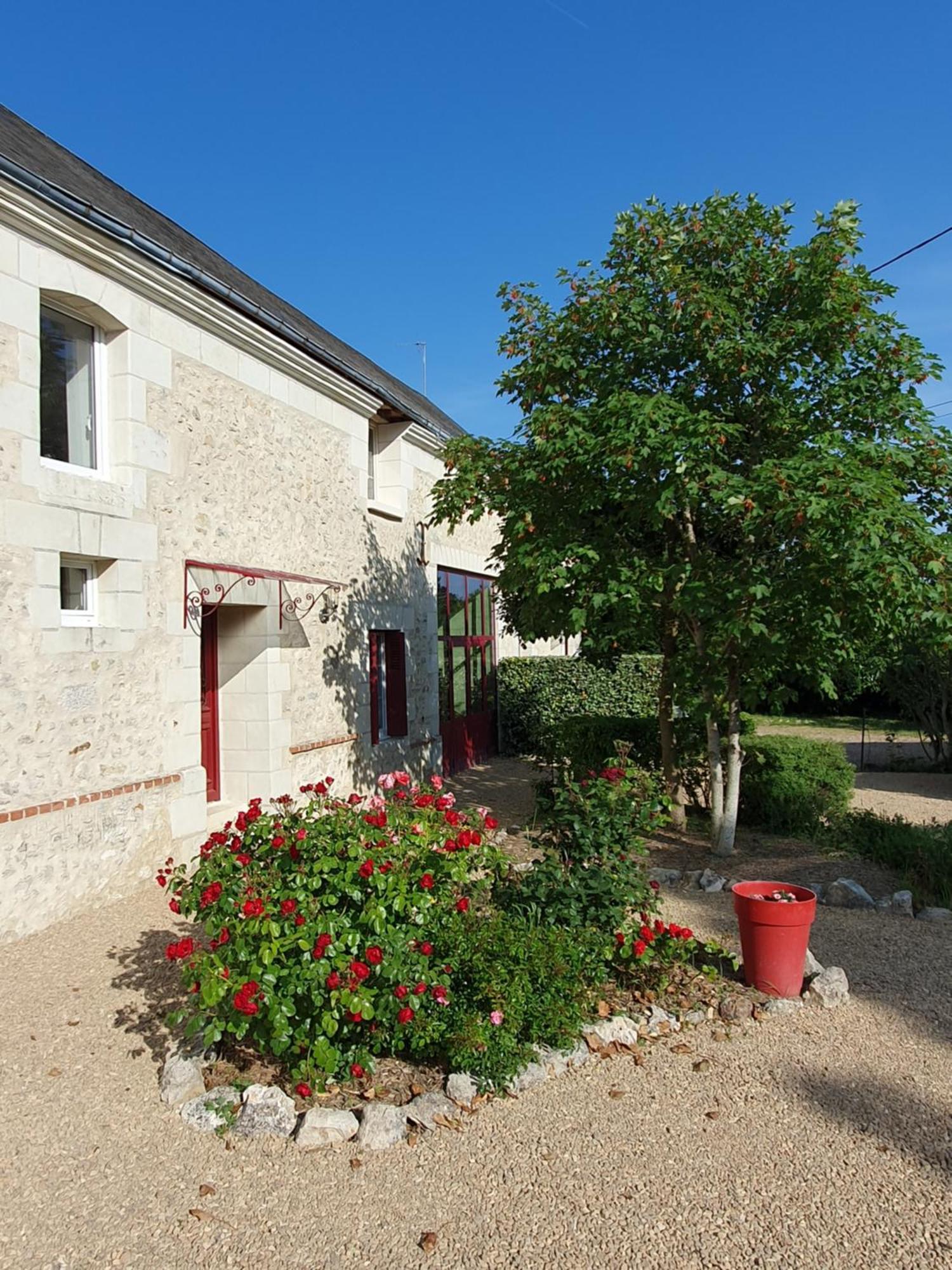 Au Domaine Du Bois Joubert Bed & Breakfast Luzillé Exterior photo